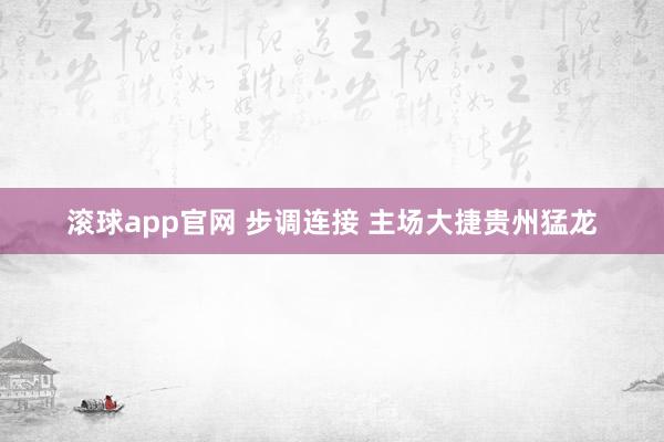 滚球app官网 步调连接 主场大捷贵州猛龙