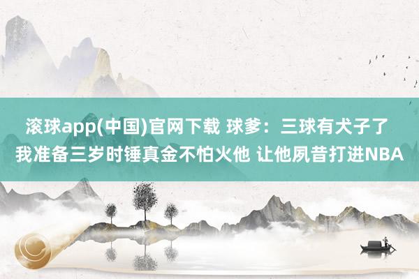 滚球app(中国)官网下载 球爹：三球有犬子了 我准备三岁时锤真金不怕火他 让他夙昔打进NBA
