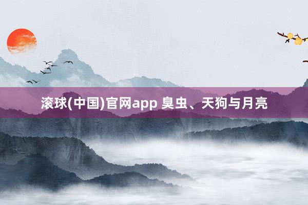 滚球(中国)官网app 臭虫、天狗与月亮