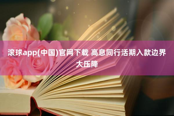 滚球app(中国)官网下载 高息同行活期入款边界大压降
