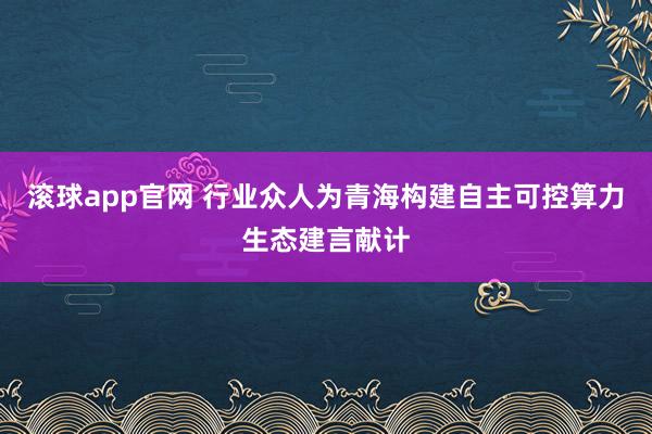 滚球app官网 行业众人为青海构建自主可控算力生态建言献计