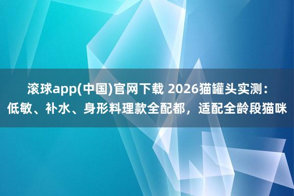滚球app(中国)官网下载 2026猫罐头实测：低敏、补水、身形料理款全配都，适配全龄段猫咪