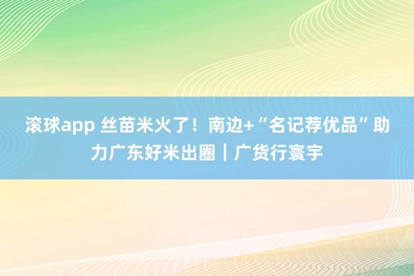 滚球app 丝苗米火了！南边+“名记荐优品”助力广东好米出圈｜广货行寰宇