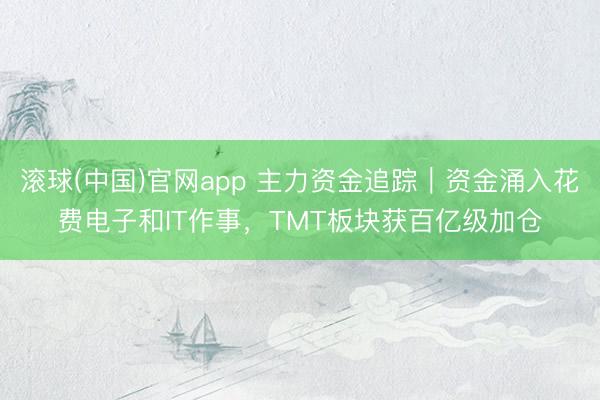 滚球(中国)官网app 主力资金追踪｜资金涌入花费电子和IT作事，TMT板块获百亿级加仓