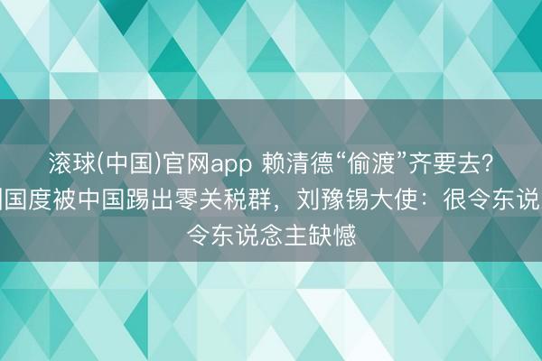 滚球(中国)官网app 赖清德“偷渡”齐要去？这个非洲国度被中国踢出零关税群，刘豫锡大使：很令东说念主缺憾