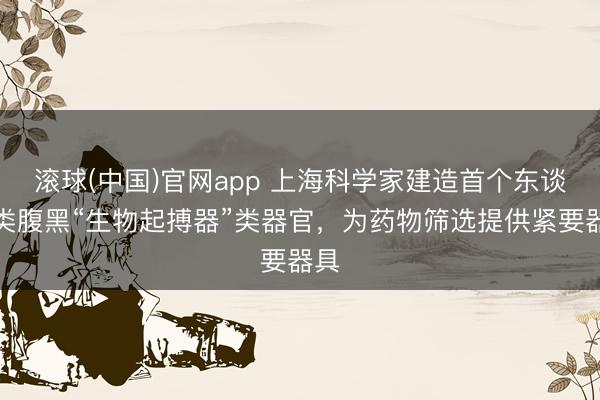 滚球(中国)官网app 上海科学家建造首个东谈主类腹黑“生物起搏器”类器官，为药物筛选提供紧要器具