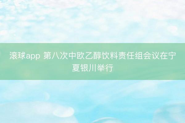 滚球app 第八次中欧乙醇饮料责任组会议在宁夏银川举行