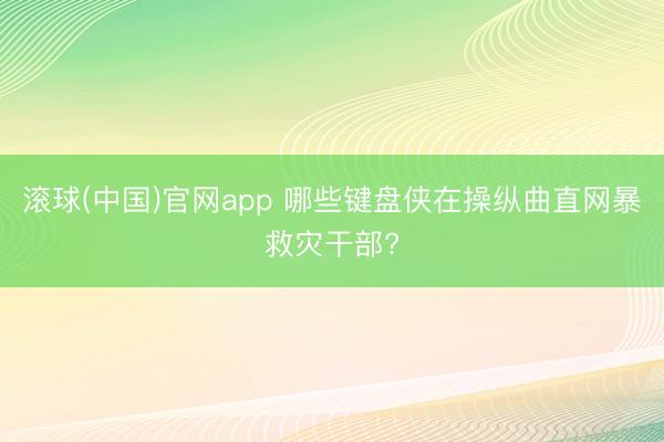 滚球(中国)官网app 哪些键盘侠在操纵曲直网暴救灾干部?