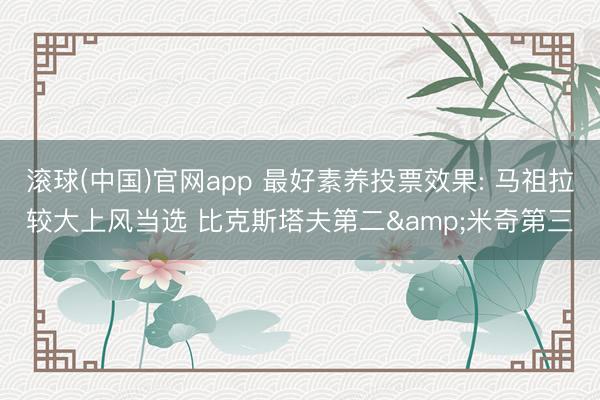 滚球(中国)官网app 最好素养投票效果: 马祖拉较大上风当选 比克斯塔夫第二&米奇第三