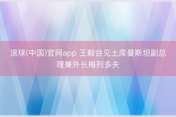 滚球(中国)官网app 王毅会见土库曼斯坦副总理兼外长梅列多夫