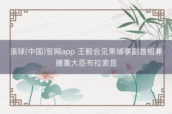 滚球(中国)官网app 王毅会见柬埔寨副首相兼搪塞大臣布拉索昆