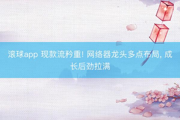 滚球app 现款流矜重! 网络器龙头多点布局， 成长后劲拉满
