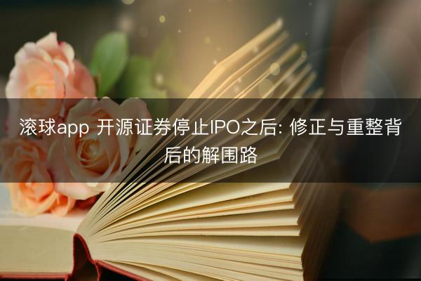 滚球app 开源证券停止IPO之后: 修正与重整背后的解围路