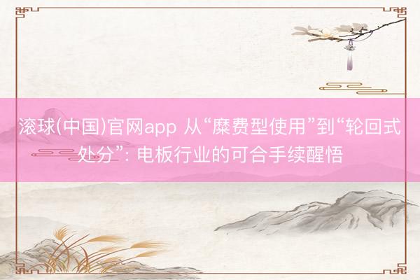 滚球(中国)官网app 从“糜费型使用”到“轮回式处分”: 电板行业的可合手续醒悟