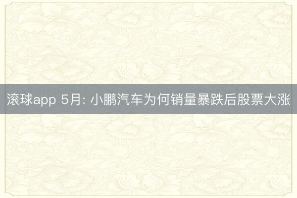 滚球app 5月: 小鹏汽车为何销量暴跌后股票大涨
