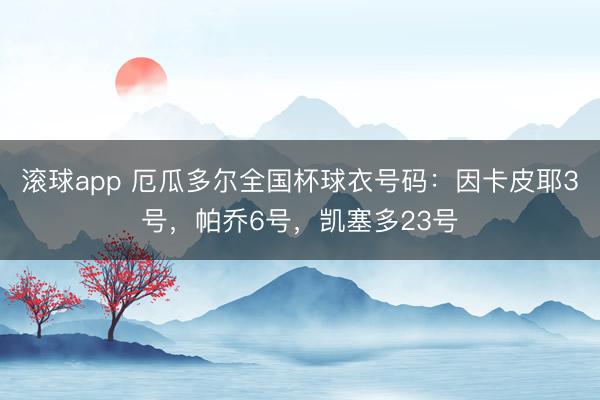 滚球app 厄瓜多尔全国杯球衣号码：因卡皮耶3号，帕乔6号，凯塞多23号