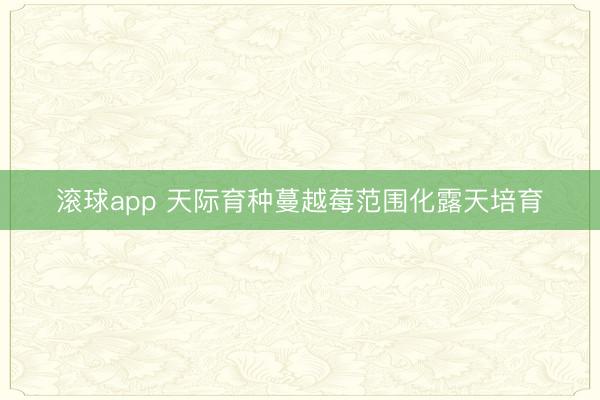 滚球app 天际育种蔓越莓范围化露天培育