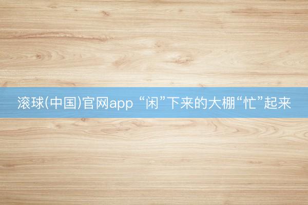 滚球(中国)官网app “闲”下来的大棚“忙”起来