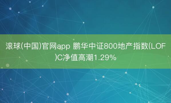 滚球(中国)官网app 鹏华中证800地产指数(LOF)C净值高潮1.29%